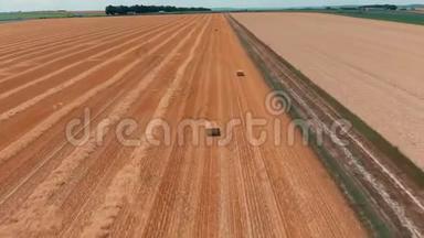 鸟瞰农作物小麦或黑麦田与干草草捆。 收获农业农场农村空中4k视频